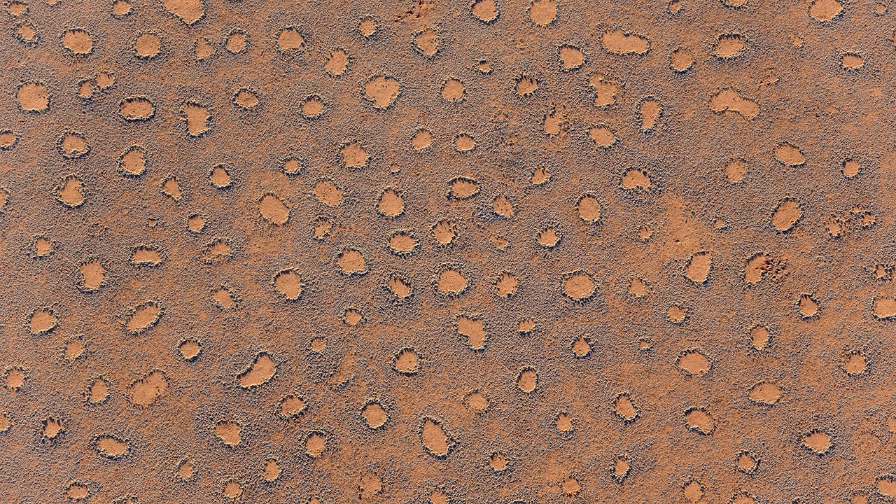 The Fairy Circles are circular patches without any vegetation which according to recent scientific studies are caused by termites. Fairy circles at the edge of the Namib Desert in Namibia are photographed from a hot-air balloon. (Thomas Dressler/Getty Images)