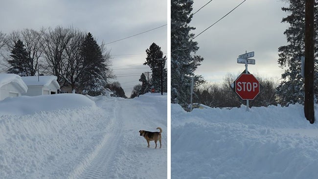 Combination of photos from Gile, Wisconsin, on November 18, 2014. Gile had picked up over six feet of total snowfall from the morning of November 10 through 6 a.m. on November 18. For reference, the dog is 20 inches tall and stop signs in the town are taller than standard height elsewhere. (Peg Sutherland)