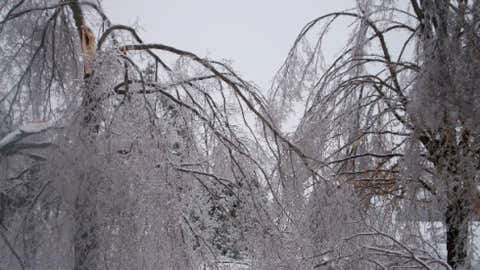 Marion, Ky. Image credit: iWitness Weather contributor ampatton