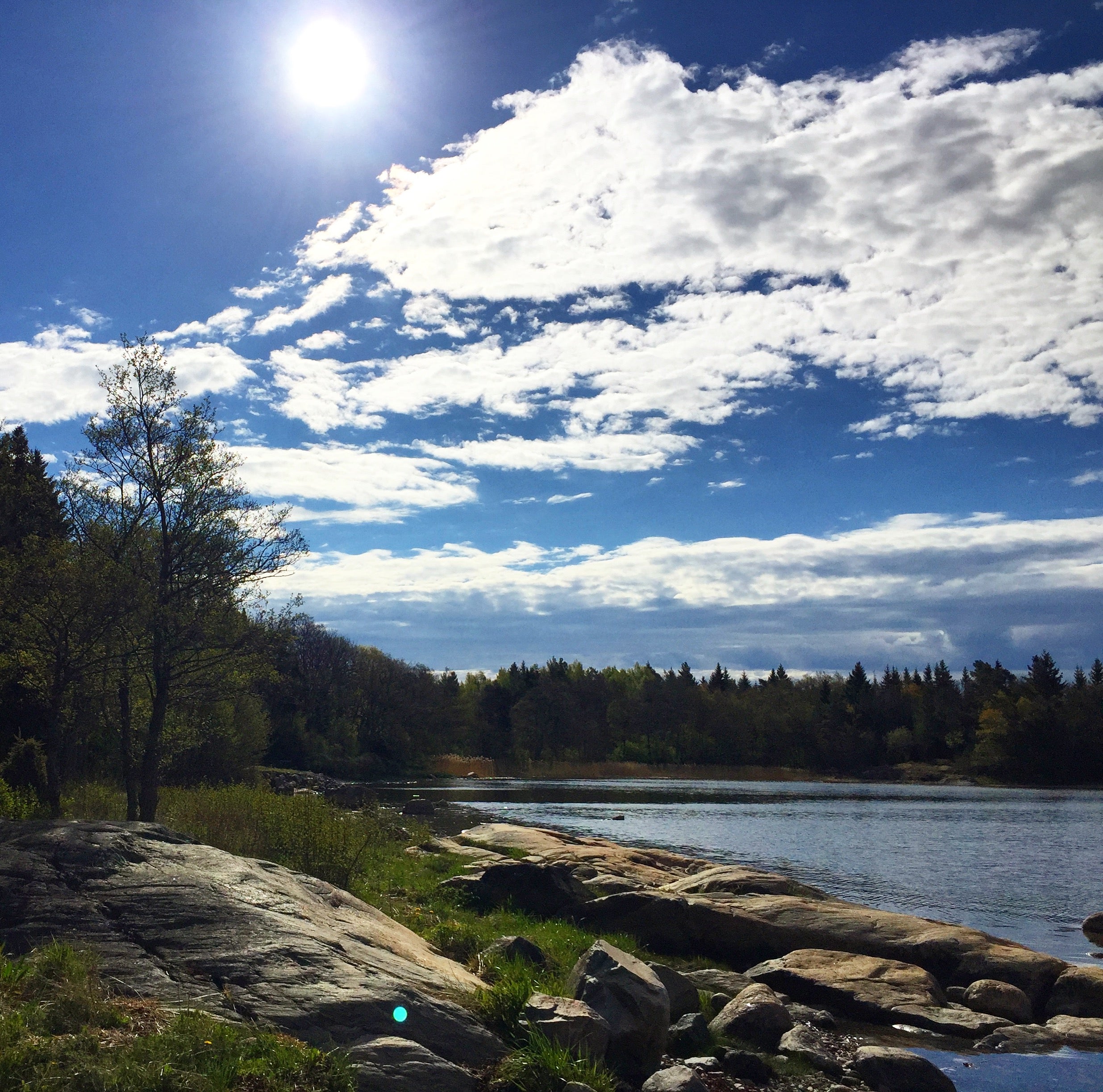 On the banks of the archipelagos in Gl&auml;msta, Sweden. 