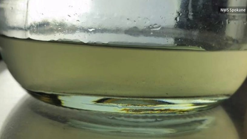 Milky rain collected in a glass in Spokane, Washington on February 6, 2015. 