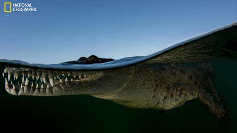 Atemberaubend Diese Bilder Zeigen Die Schonheit Der Natur The Weather Channel Artikel Von The Weather Channel Weather Com