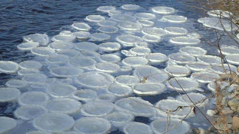 Pancake ice in a river near Baddeck, Nova Scotia on Dec. 5, 2014.