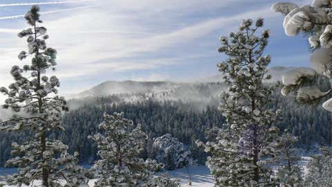 Georgetown, located along I-70 to the west of Denver, holds the record for the greatest single-day snowfall in the entire United States with 63 inches on December 4, 1913. Image: Wintry scene in Evergreen, Colo. from iWitness Weather contributor daveandkaren.