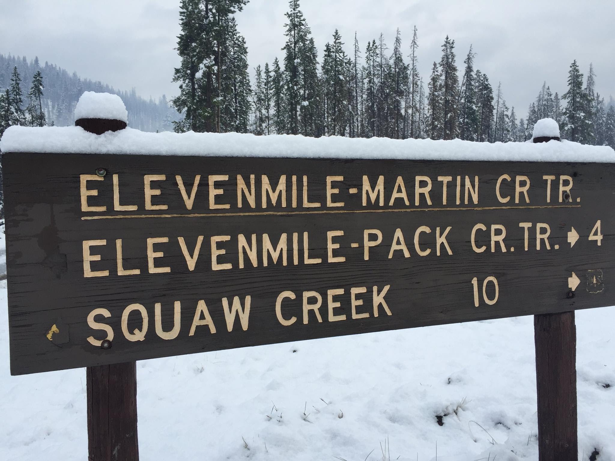 Snow blankets the Elevenmile Fire in central Idaho's Salmon-Challis National Forest on Sep. 4, 2015. (Ryan Walbrun)