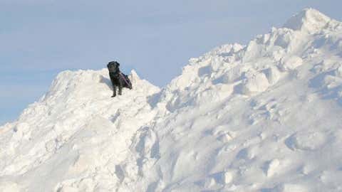 Fayette, located in the northeast corner of the state, recorded 21 inches of snow on March 6, 1959. Image: Dog standing on a big snow pile in Waterloo from iWitness Weather contributor mykgol.