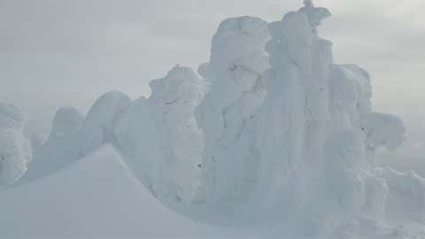 Around 14 miles southeast of Millegan, a total of four feet of snow was recorded on December 27, 2003. Image: Trees covered by heavy snow near West Yellowstone, Mont. From iWitness Weather contributor JohnGolba.