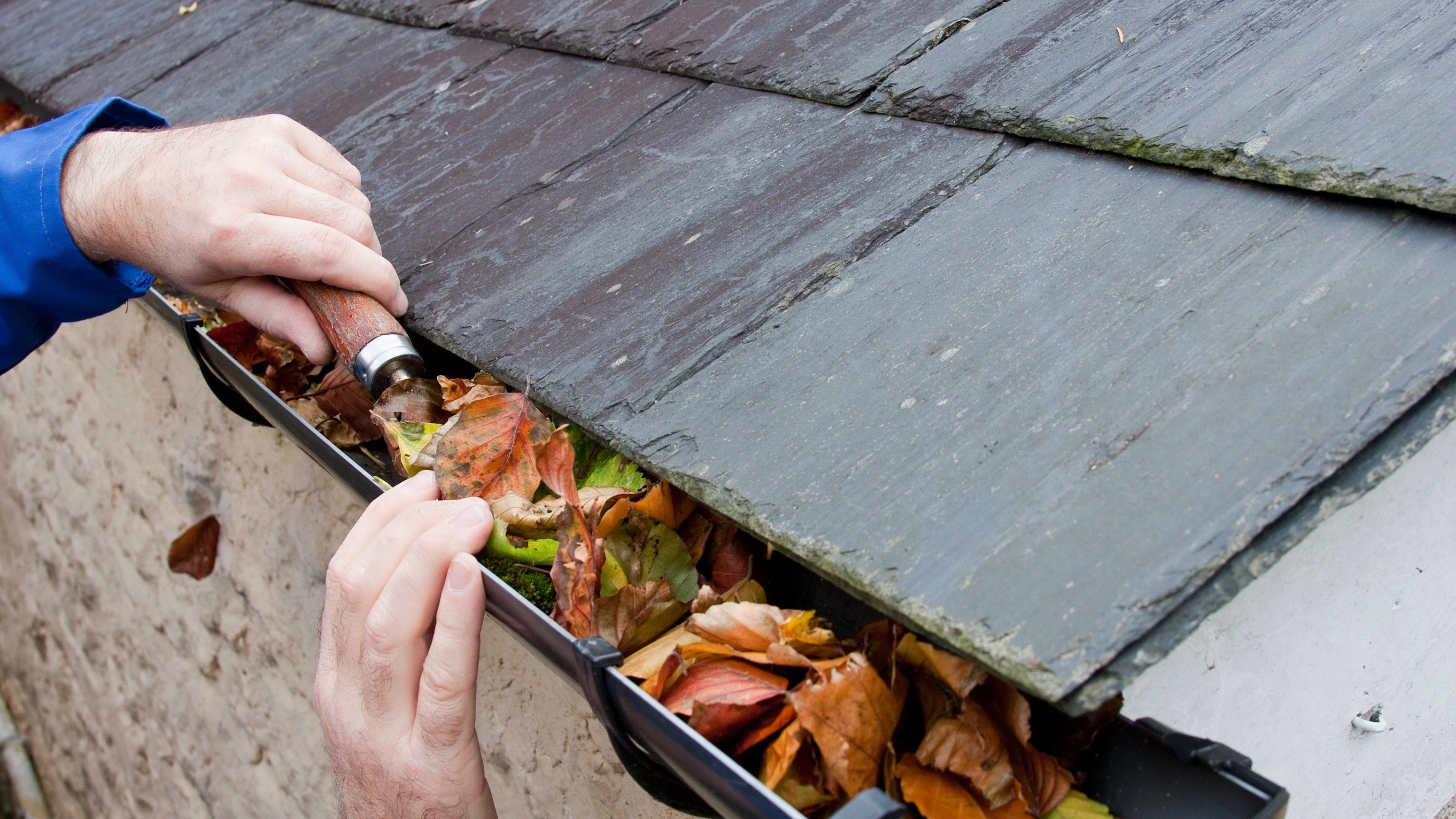 Workman Clearing Autumn Leaves from Gutter