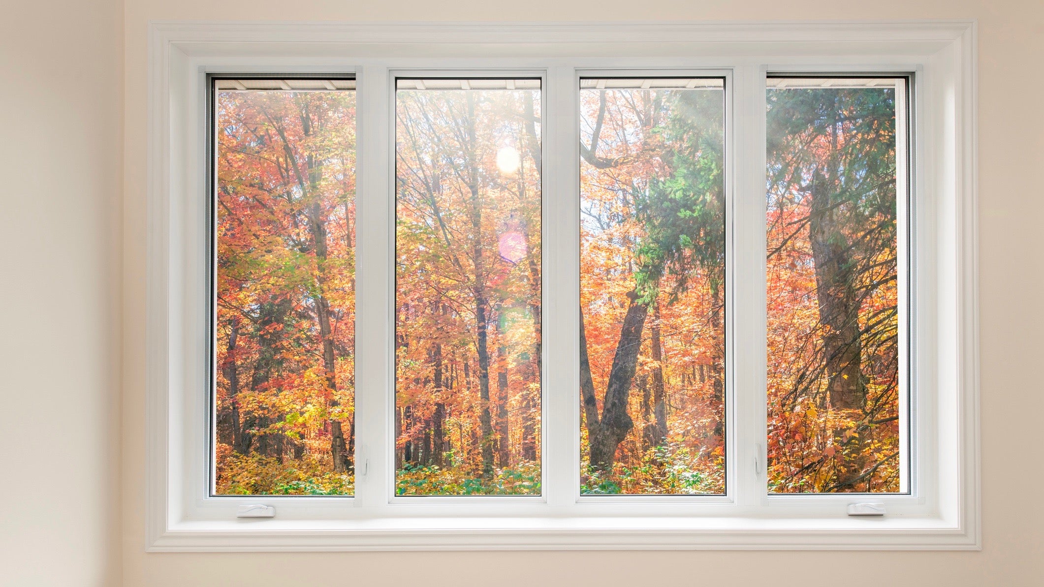 Large four pane window looking on colorful fall forest