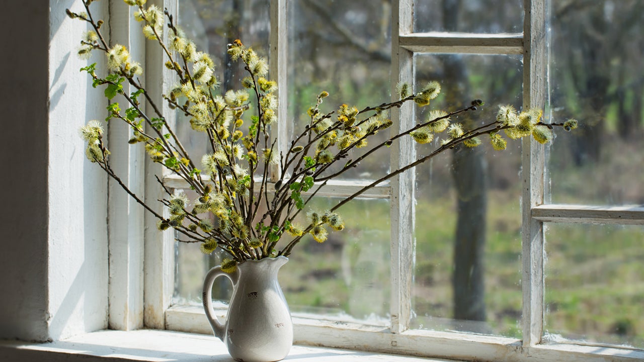 willow with flowering bud in vase