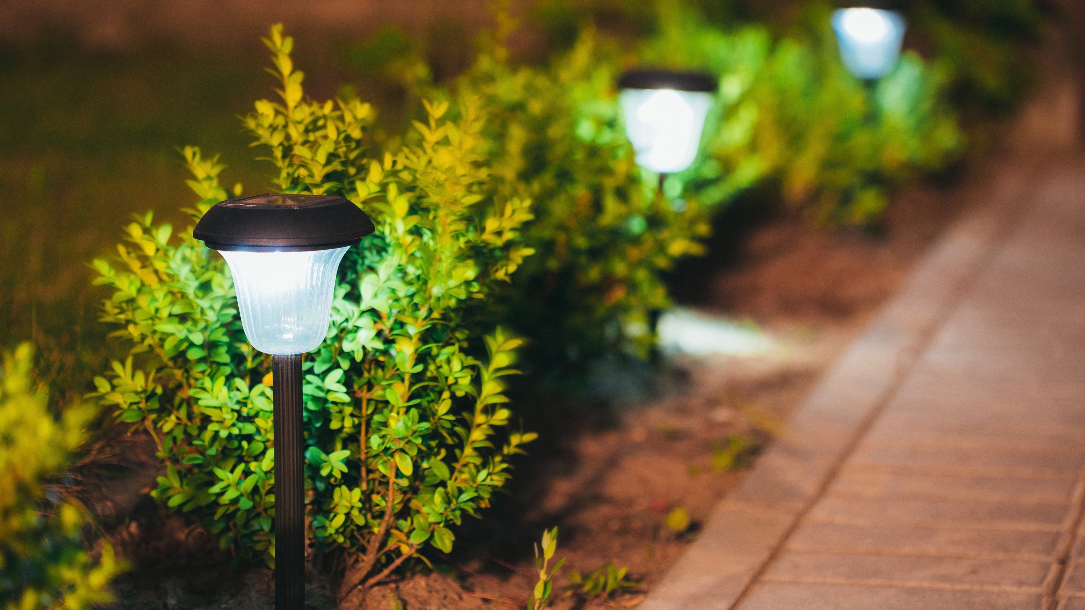 Decorative Small Solar Garden Light, Lanterns In Flower Bed In Green Foliage. Garden Design. Solar Powered Lamps In Row