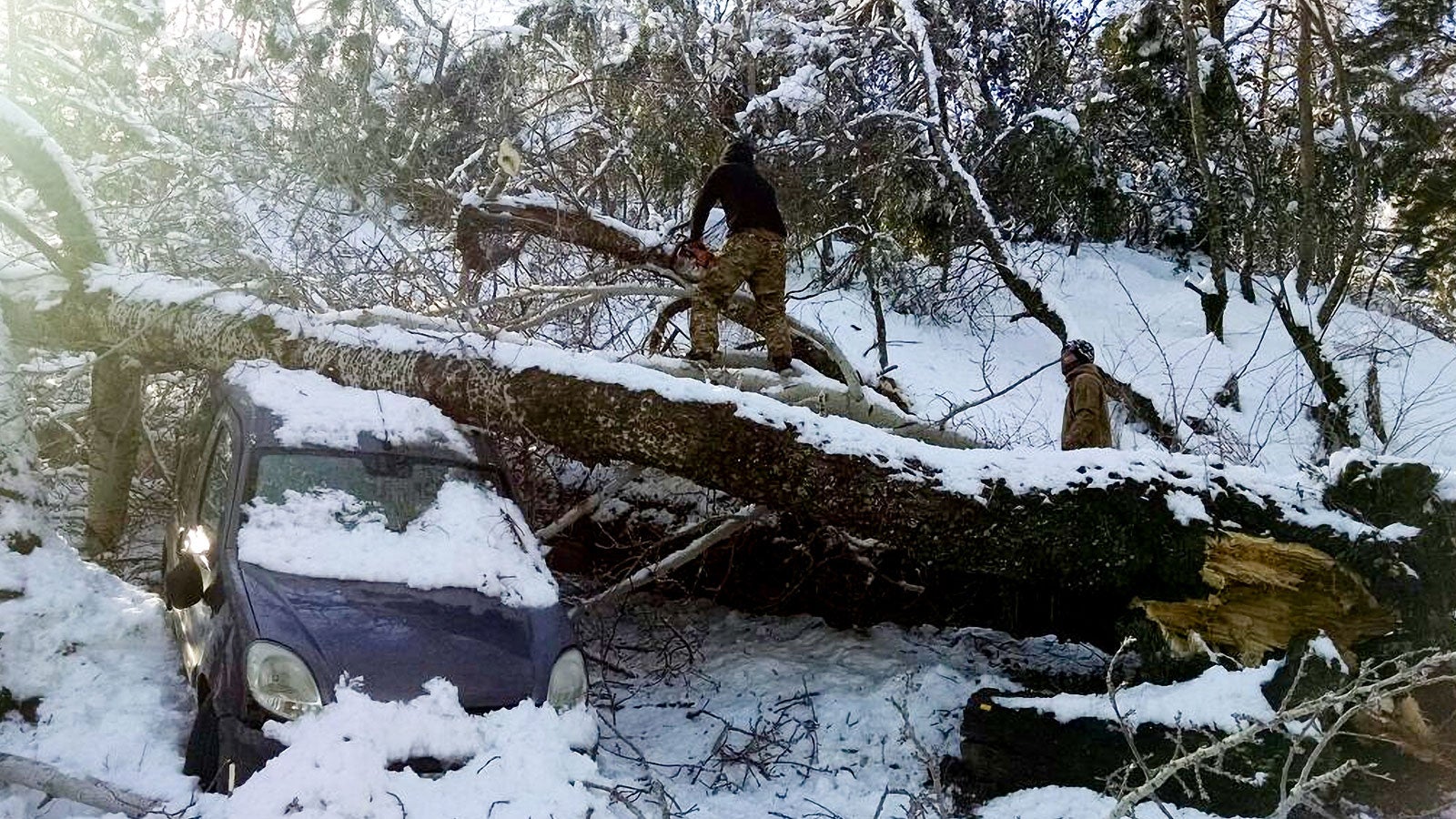 5 Tote Frost In Den Tropen Ungewohnliche Kaltewelle Erfasst Sudamerika The Weather Channel Artikel Von The Weather Channel Weather Com