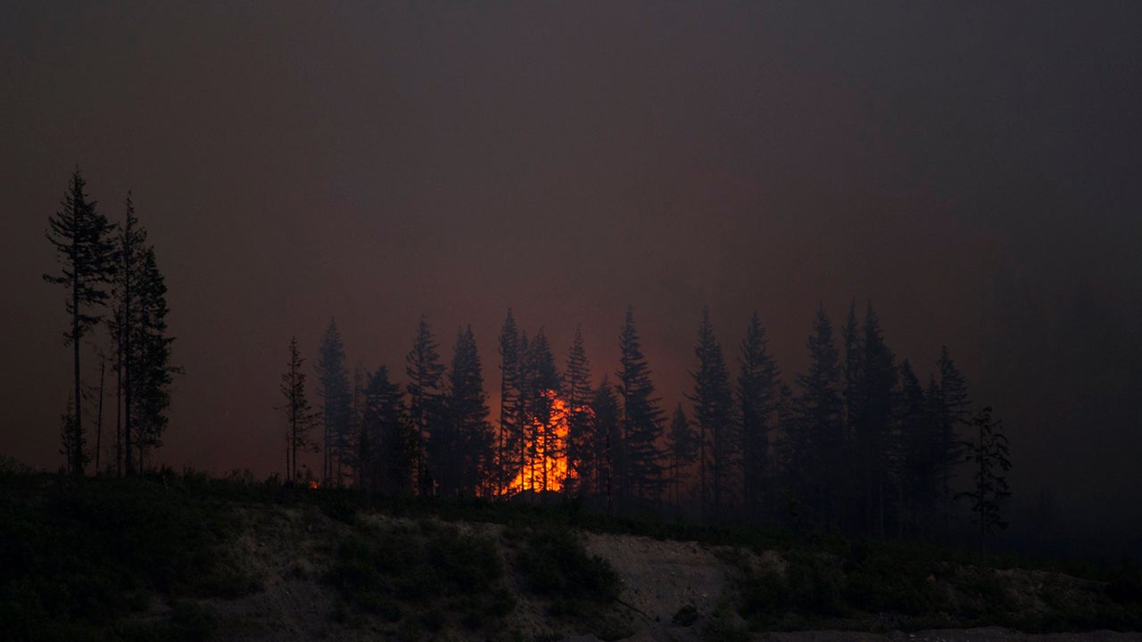 Through the weekend, the Gold Bar fire expanded to 352 acres, with 10 percent contained. (Kelley Schalo)