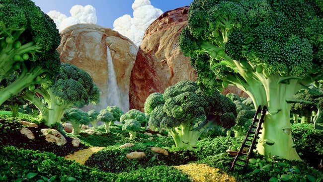 Foodscapes: Photographer Carl Warner Turns Fruits, Vegetables Into Works of Art