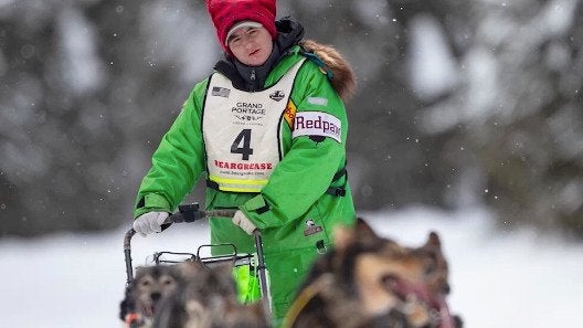 Sled Dog Race Scrapped For Lack Of Snow