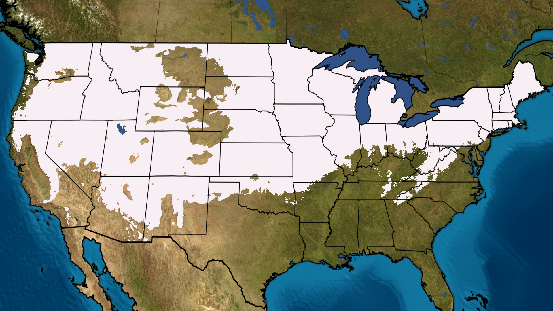 Electric Pedal Vehicle Can Hit 90 MPH Videos from The Weather Channel
