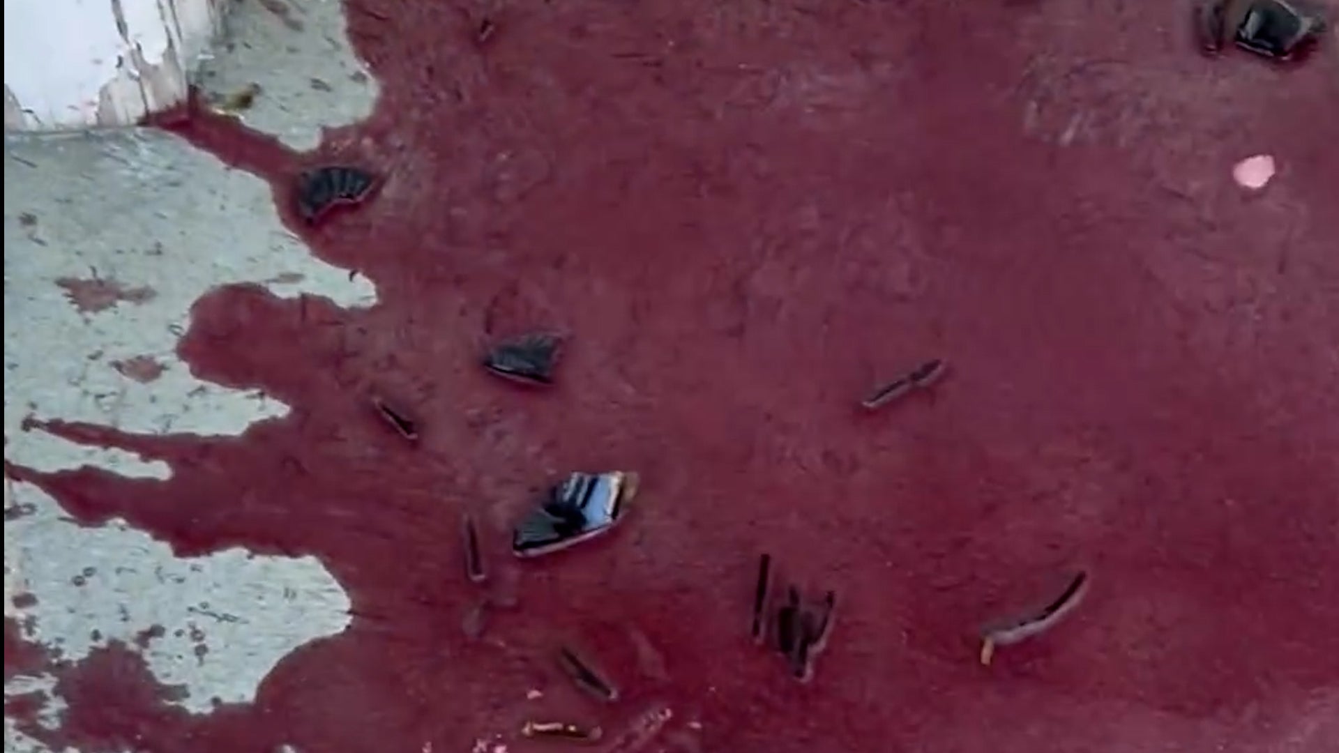 Winter Wine Disaster Red Wine No Match For Calgary Winter