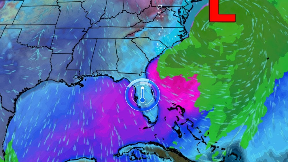 Coral Reef Time Lapse Caught on Tape Videos from The Weather Channel