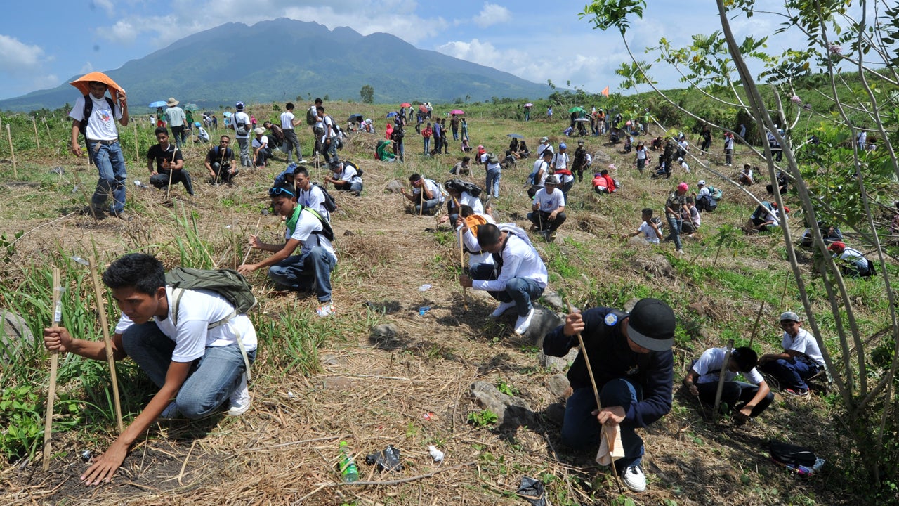 Philippines Smashes World TreePlanting Record, Officials Say The Weather Channel