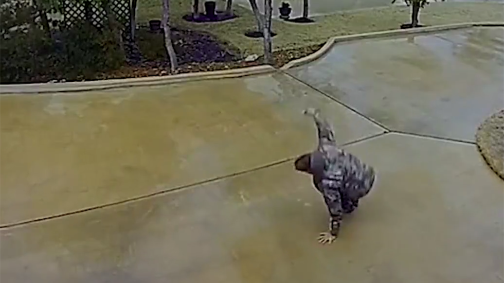 Texas Man Slips On Driveway After Winter Storm Blankets Town In Thick Ice