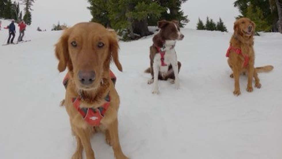 Weather Forecast and Conditions for Frederick, CO The Weather Channel