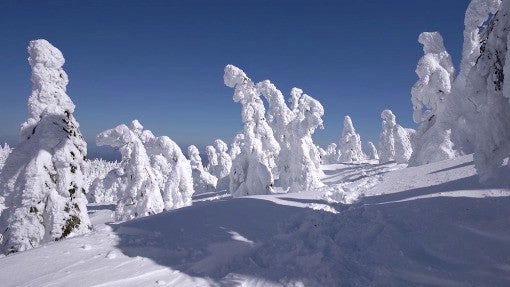 Landscape Of &lsquo;Snow Monsters&rsquo; Is Majestic And Threatened