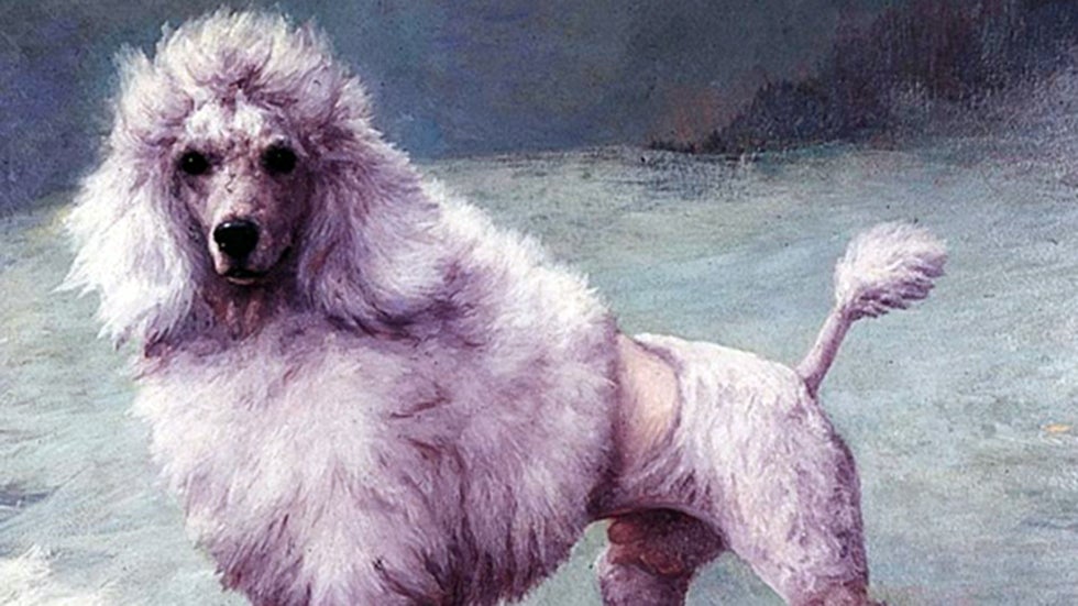 PHOTOS: A History of Westminster Winners