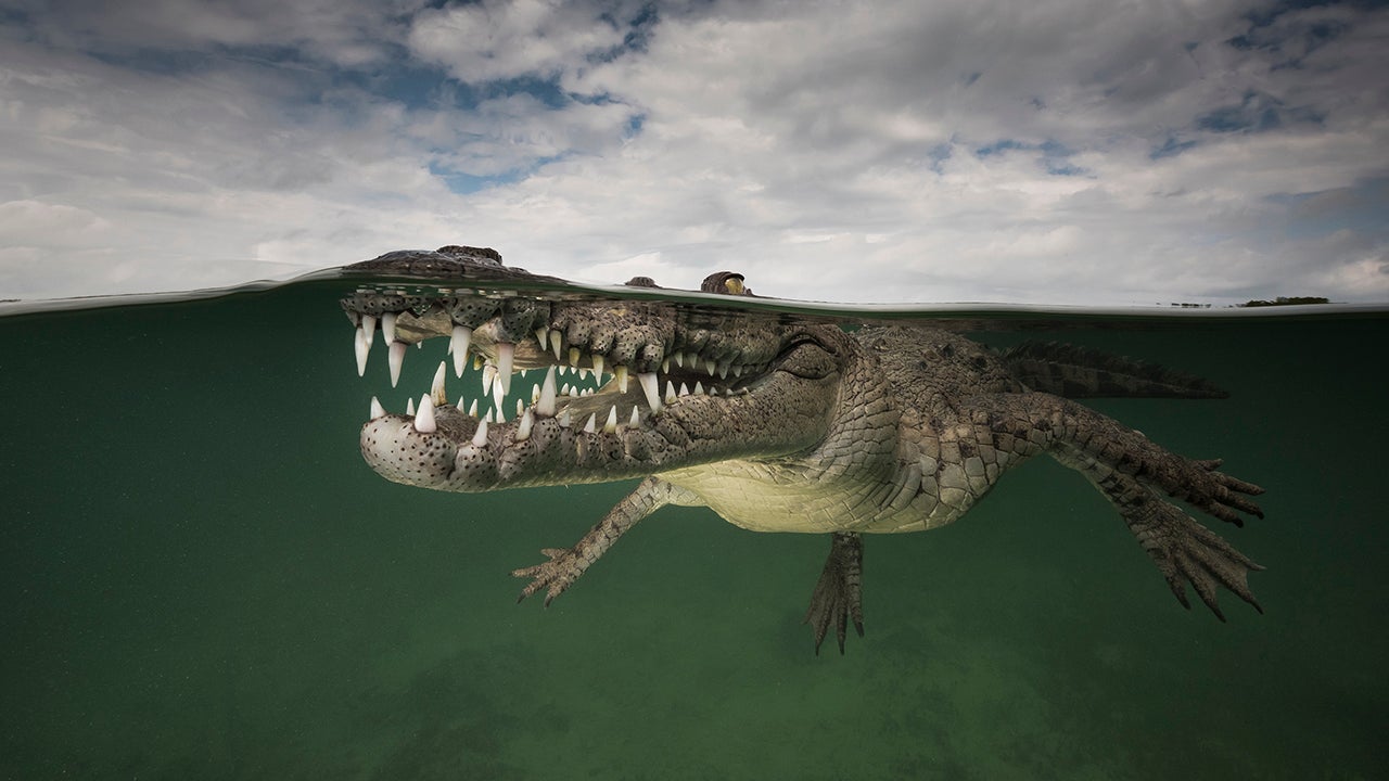 PHOTOS: Entries in the 2015 Epson International Pano Awards