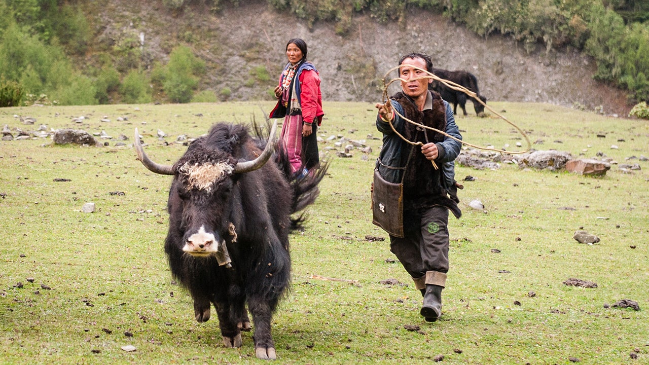 Stunning Photos of Bhutan's Isolated Yak Herders