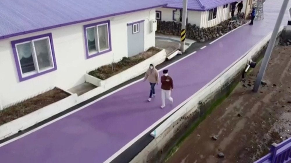 Why Are These South Korean Islands Purple?