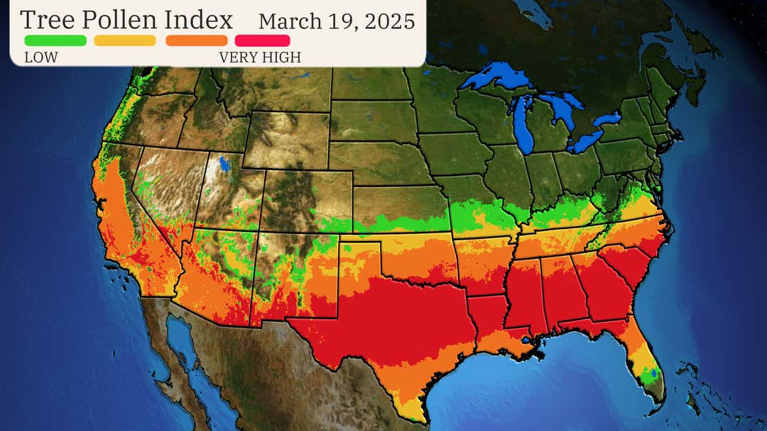 Spring Pollen South See Where Spring Has Already Sprung Across The US | Weather.com