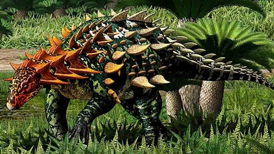 Punxsutawney Phil Makes His Prediction: Here's What the Groundhog Saw