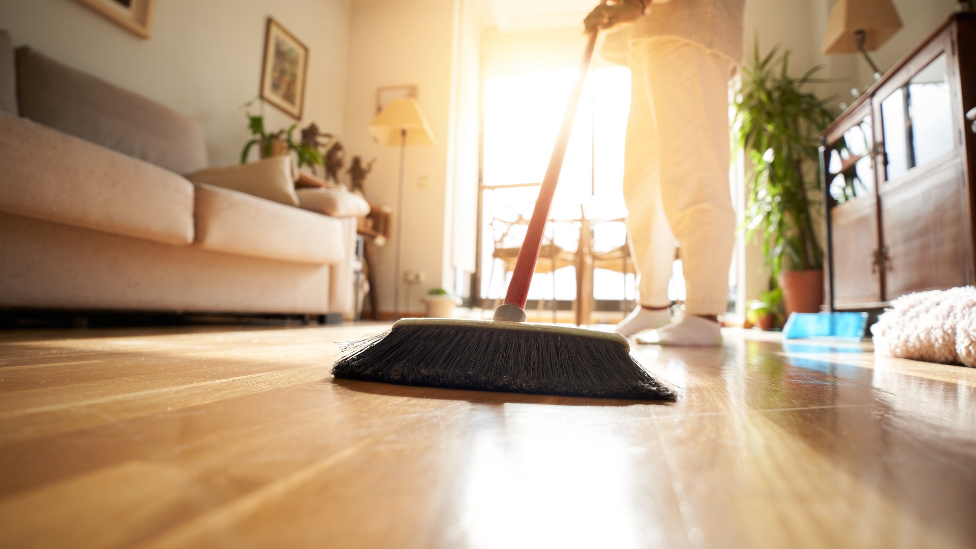 Spring Has Sprung, Follow These 5 Cleaning Tips This Season