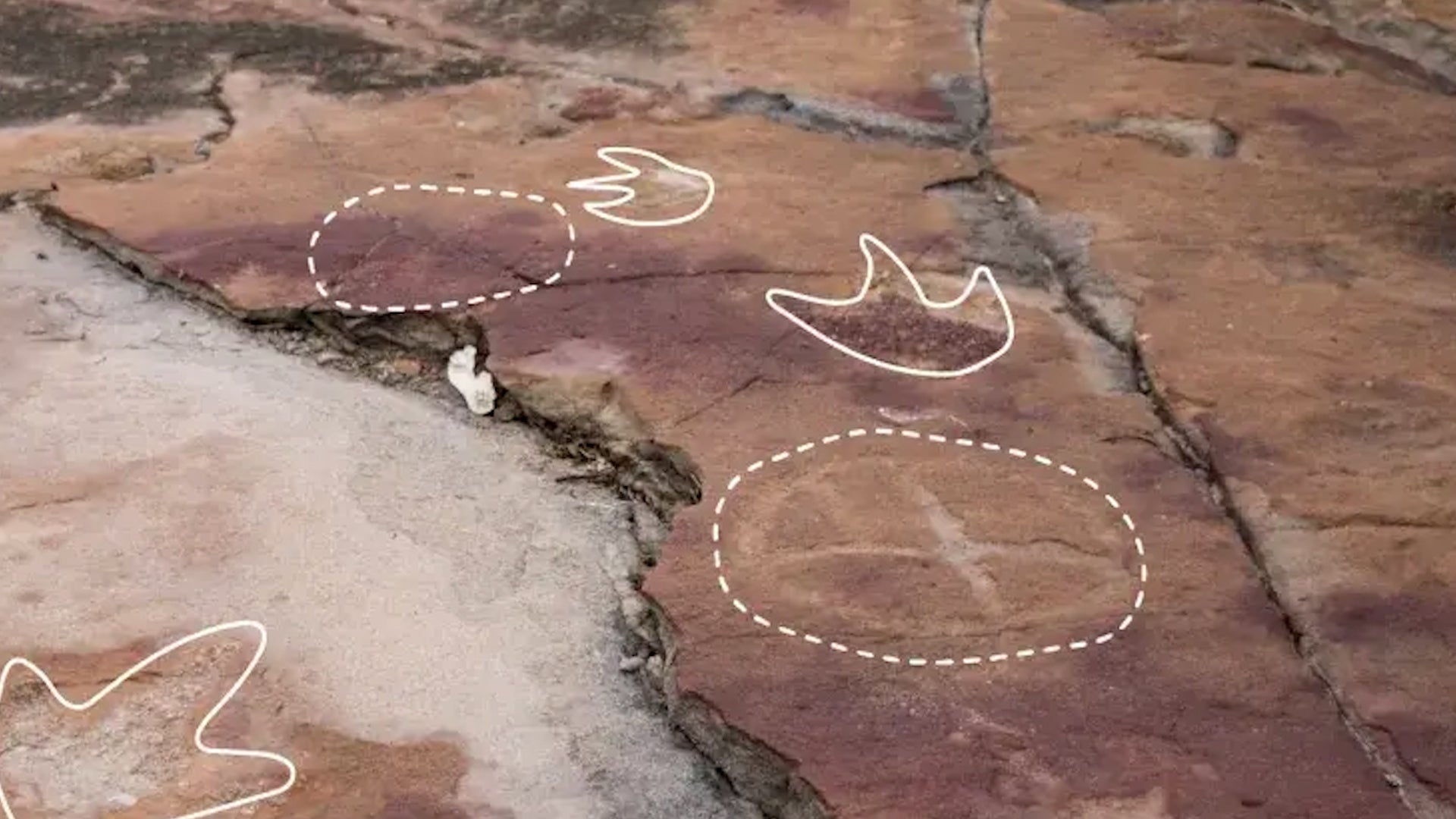 Just Unearthed: Indigenous Humans Intrigued By Dino Prints 