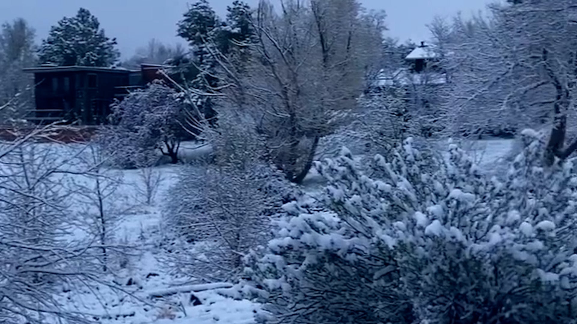 Is It Spring Or Winter? Denver Forecast Goes From 40s To 70s