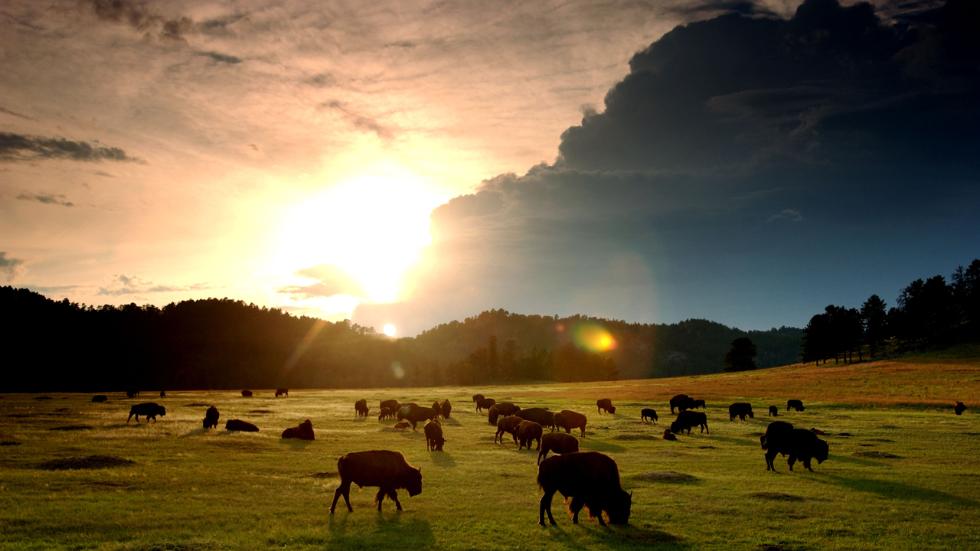 Celebrate America's National Parks (PHOTOS)