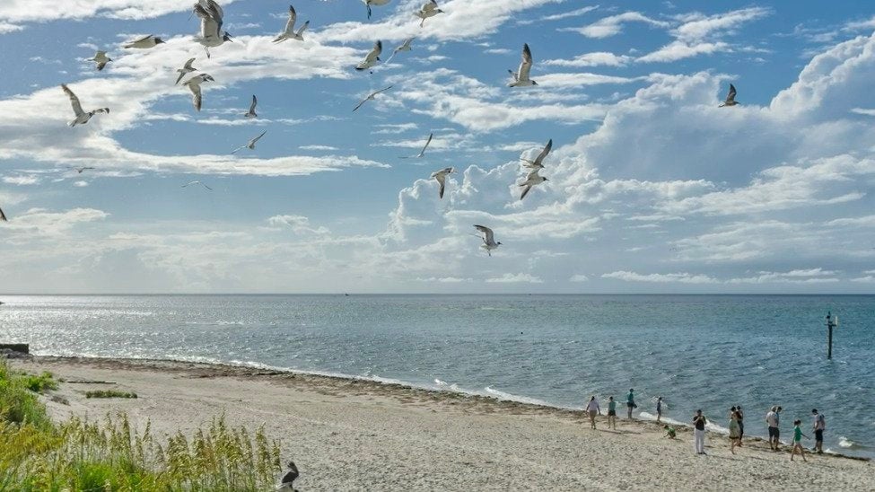 Dr. Beach&rsquo;s Top Beaches of 2022