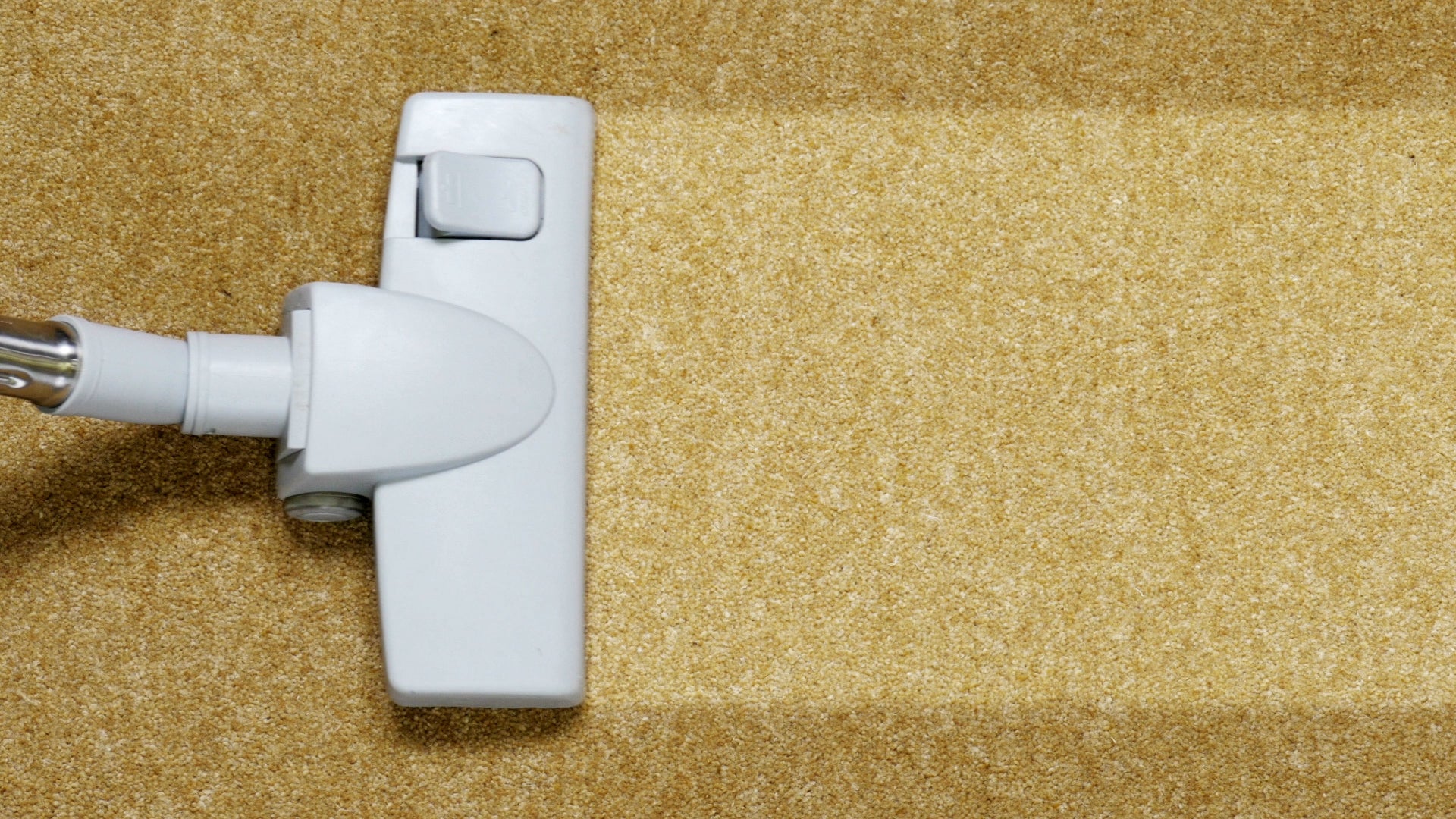 How Often Should You Vacuum?