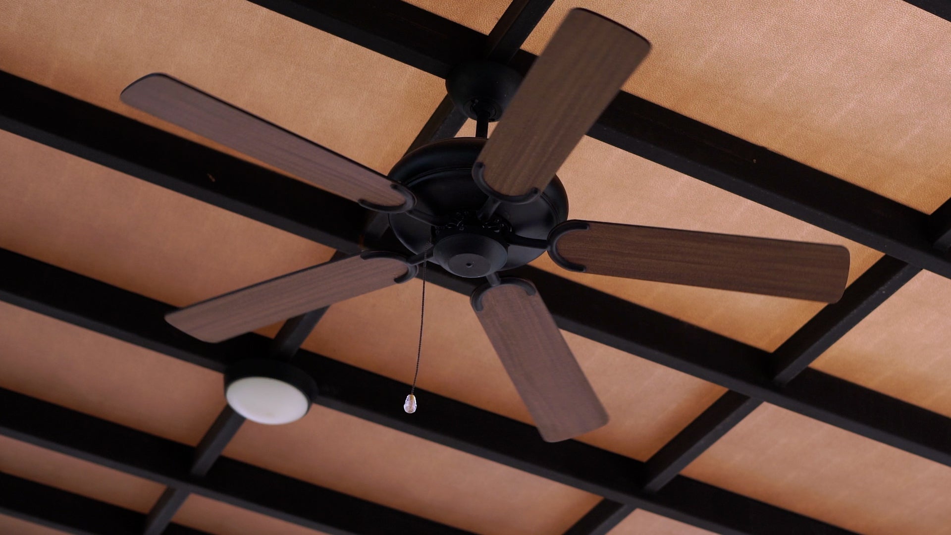 What Direction Does A Ceiling Fan Go In Summer Shelly Lighting