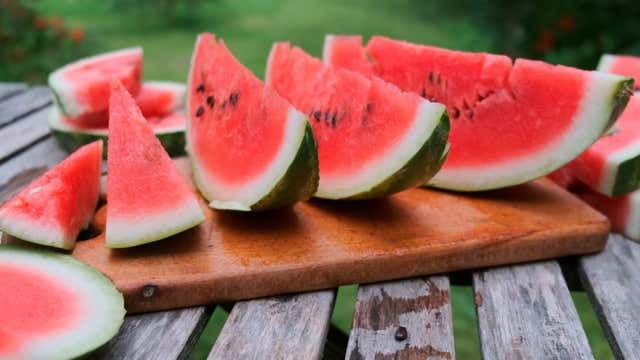Gator Invader an Unwelcome Guest - Videos from The Weather Channel