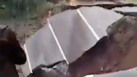Exploding Ants Discovered in Borneo - Videos from The Weather Channel