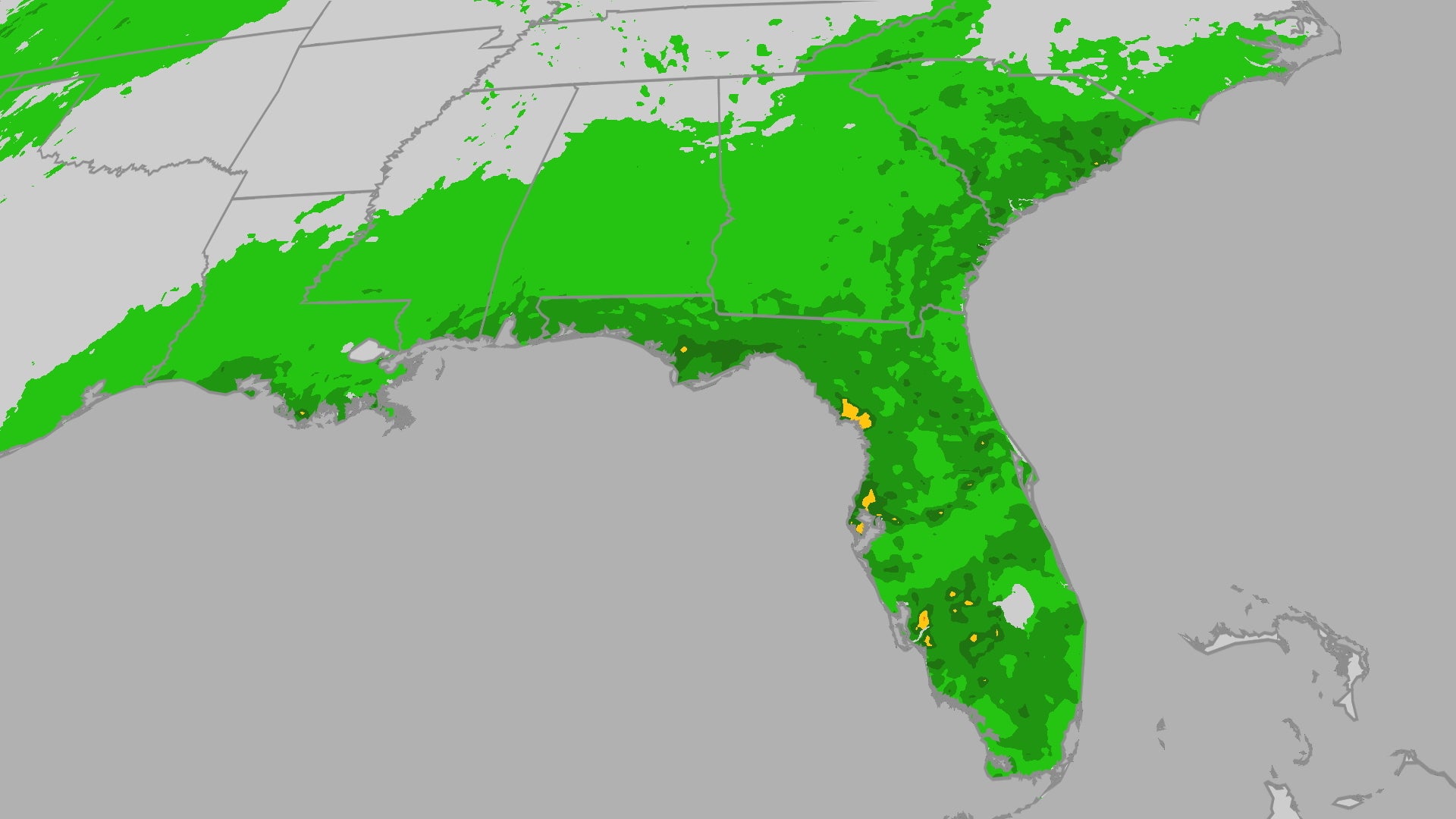 Tropical Downpours Fuel Gulf Coast, Florida Flood Threat