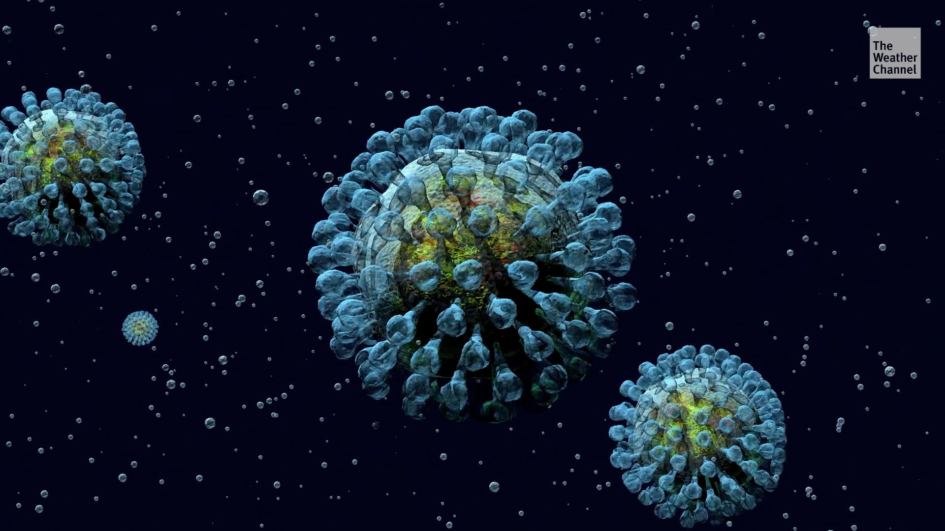 Bird Flu Mutates, Spreads To More Species, Worrying Experts