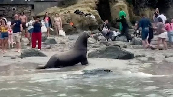 Most Terrifying Scenes from Typhoon Mangkhut in China - Videos from The