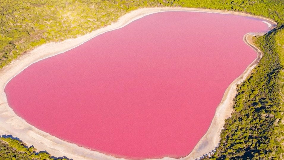 Five Barbie Pink Places For The Theme Of The Summer