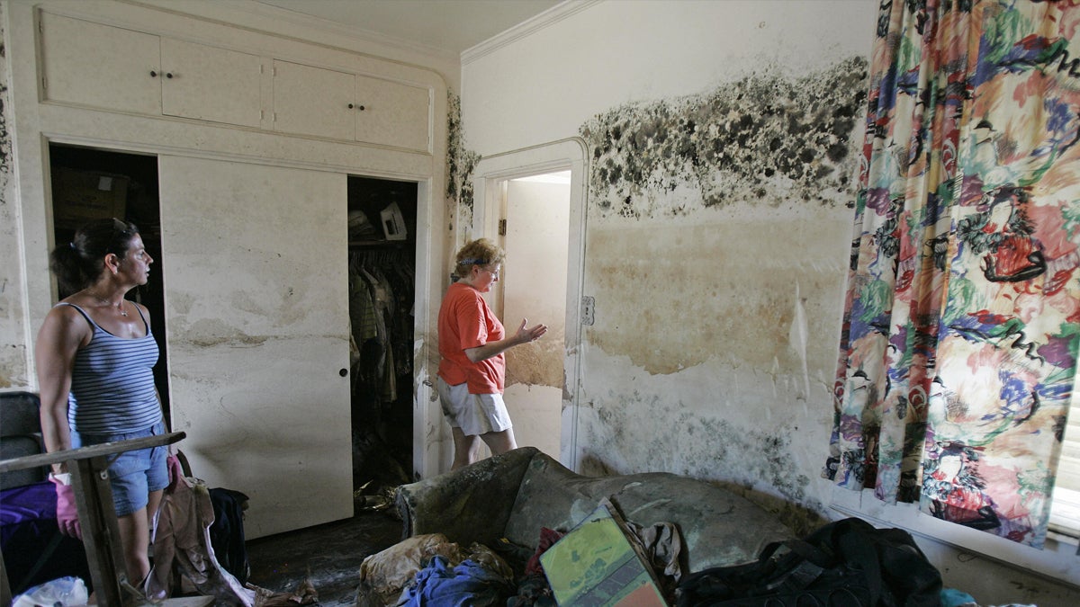 Preventing Water Damage