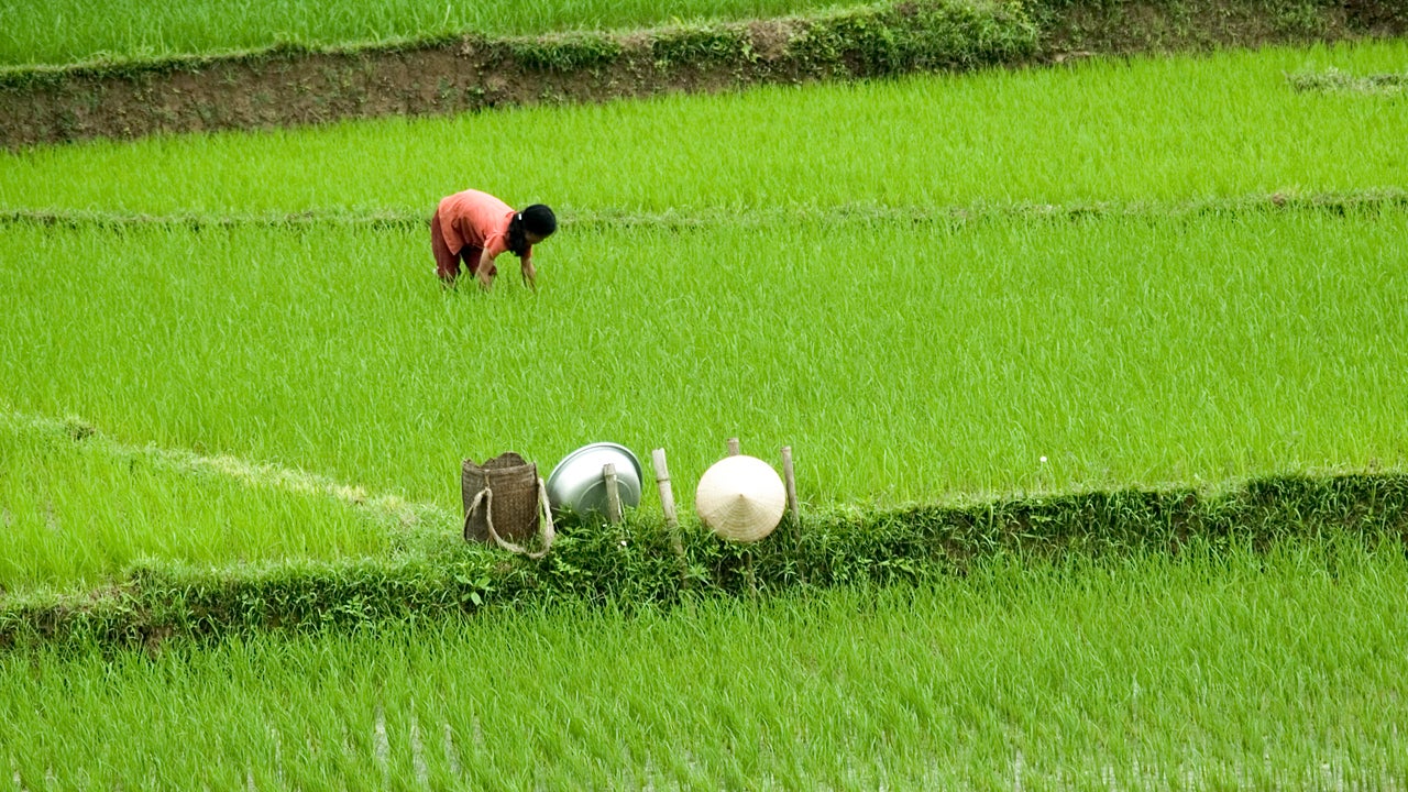 35 Amazing Places To See in Vietnam (PHOTOS)