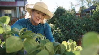 Τελευταία κρούσματα ελονοσίας στη Φλόριντα Τελευταία κρούσματα ελονοσίας στη Φλόριντα