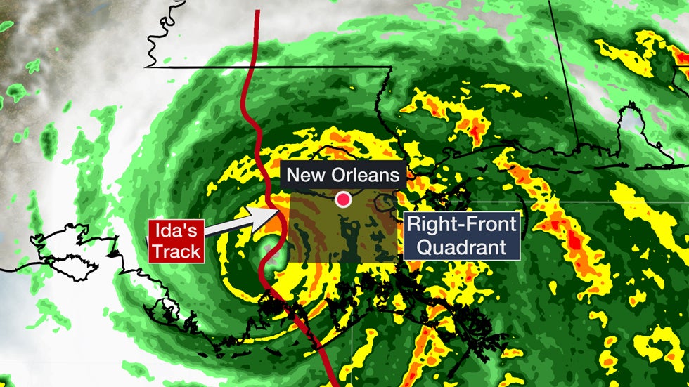 0830_nola-whysobad2.jpg