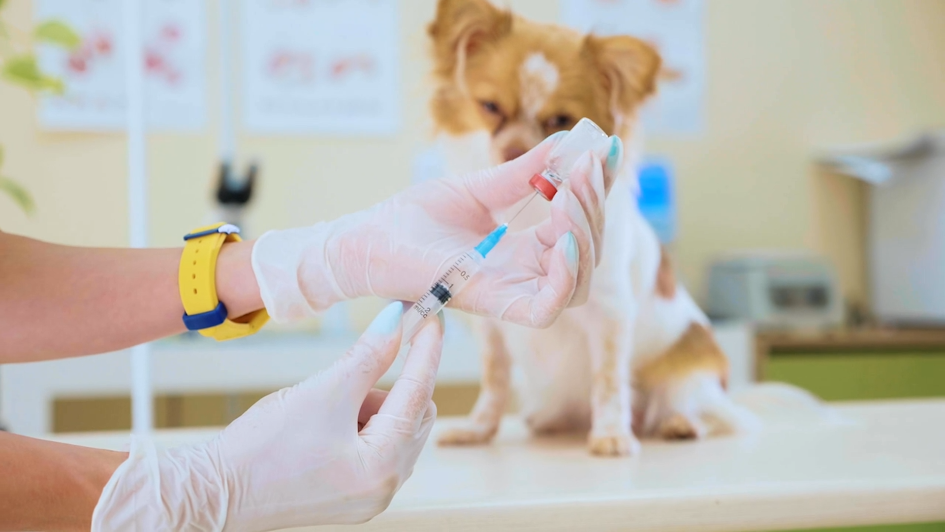 Nearly Half Of Dog Owners Hesitant To Vaccinate